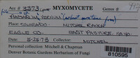 Image Associated With the Occurence